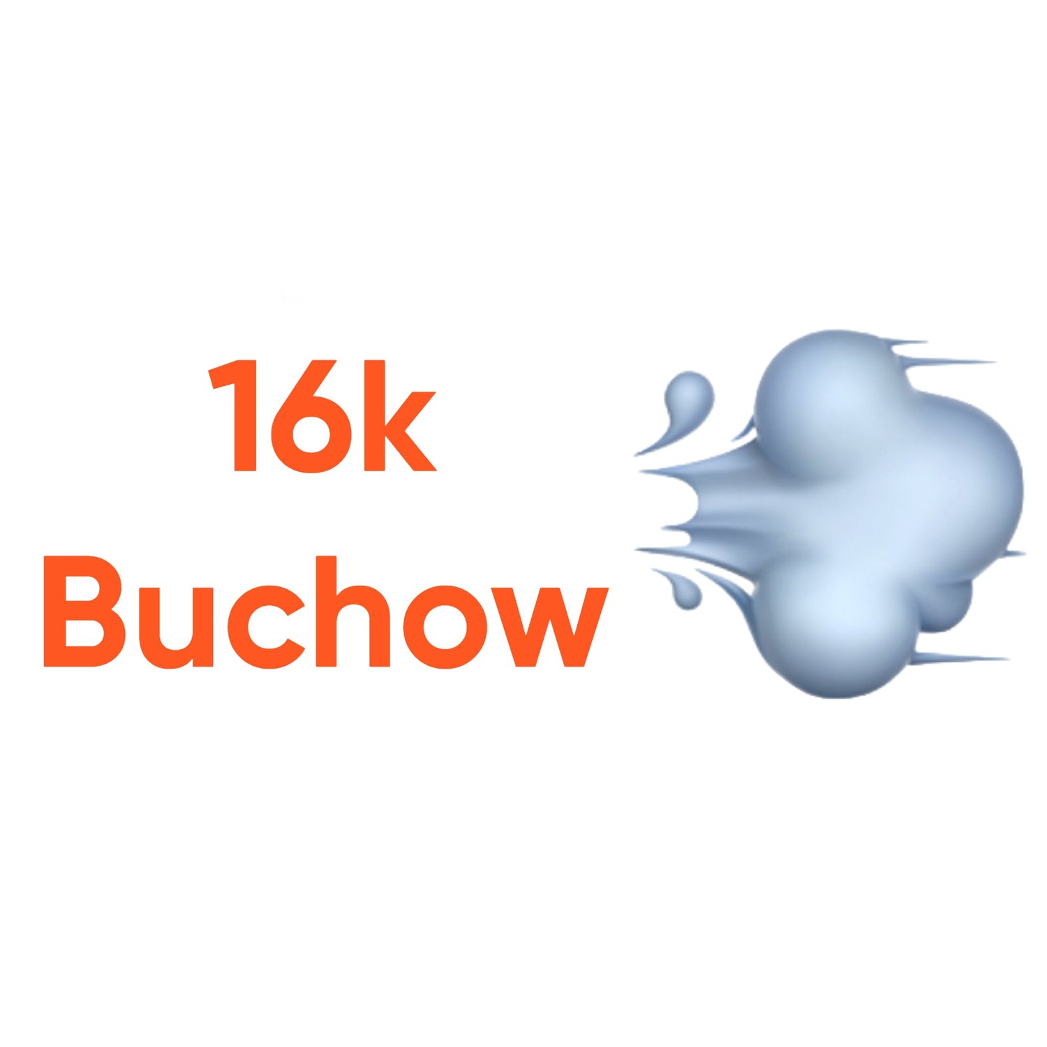 16K Buchów