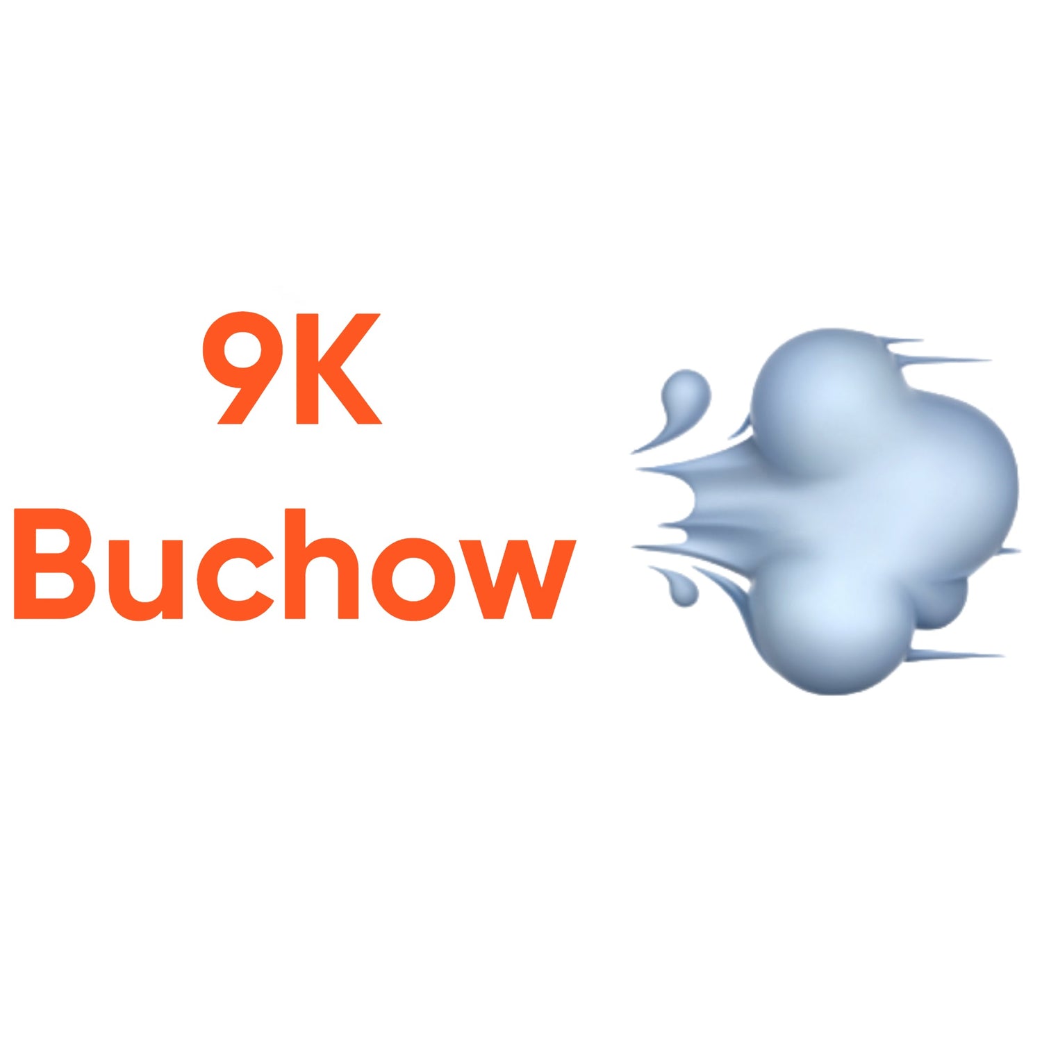 9K Buchów